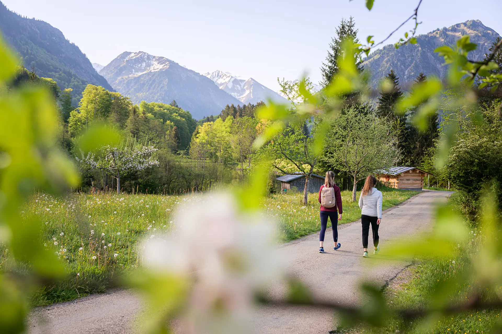 Ein Frühlingsspaziergang am Moorweiher 